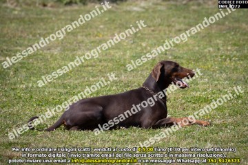 IMG_0272.jpg