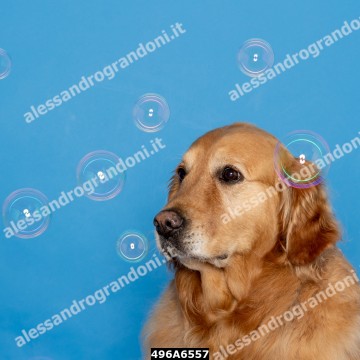 496A6557.jpg