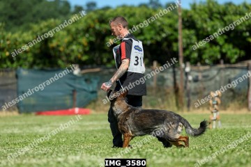 IMG_3580.jpg