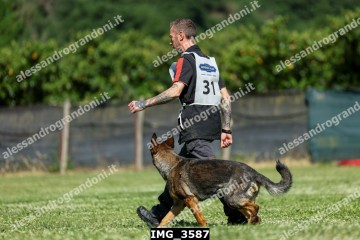 IMG_3587.jpg