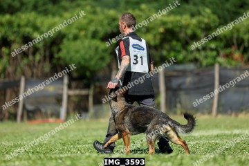 IMG_3593.jpg