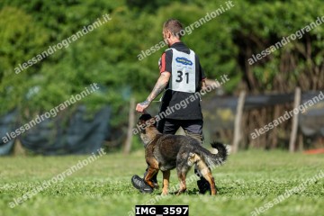 IMG_3597.jpg