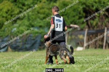 IMG_3601.jpg