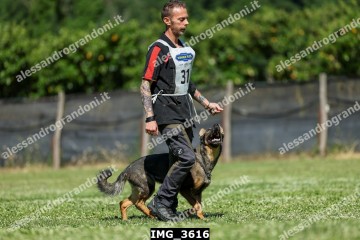 IMG_3616.jpg