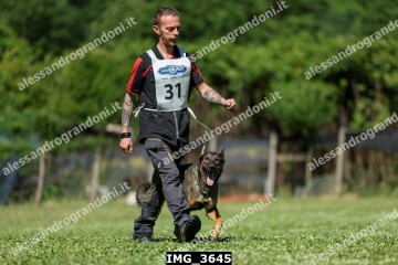 IMG_3645.jpg