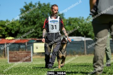 IMG_3684.jpg