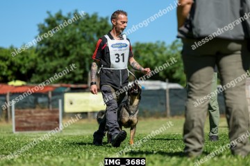 IMG_3688.jpg