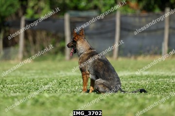 IMG_3702.jpg