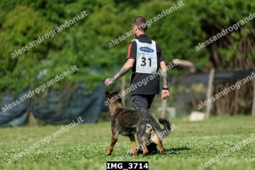 IMG_3714.jpg