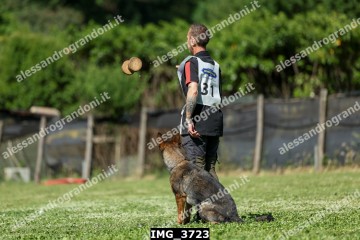 IMG_3723.jpg