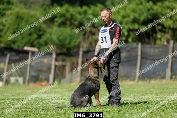 IMG_3791.jpg
