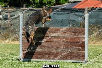 IMG_3799.jpg