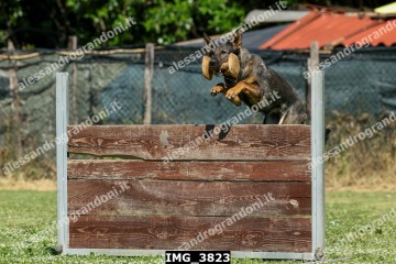 IMG_3823.jpg