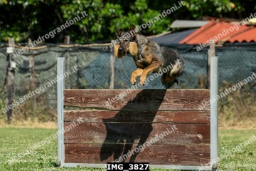 IMG_3827.jpg