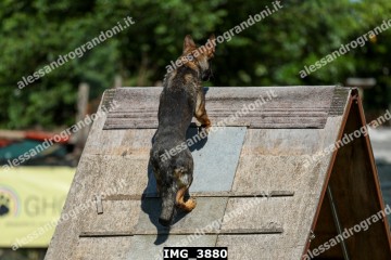 IMG_3880.jpg