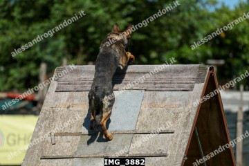 IMG_3882.jpg