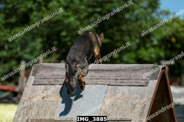 IMG_3885.jpg