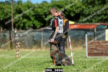 IMG_3896.jpg