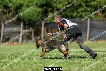 IMG_3909.jpg