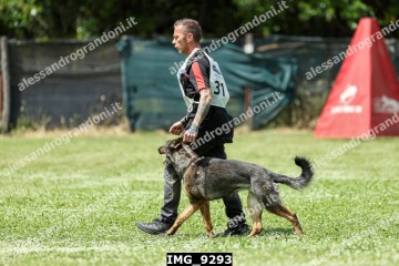 IMG_9293.jpg