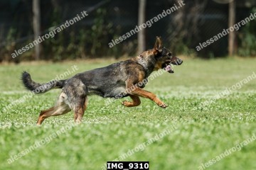 IMG_9310.jpg