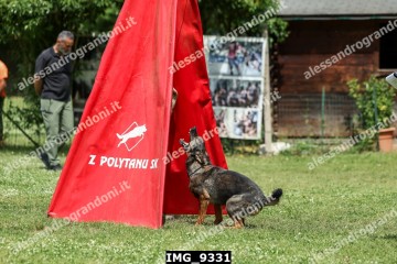 IMG_9331.jpg