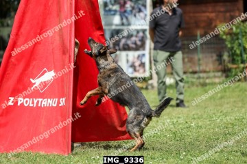 IMG_9336.jpg