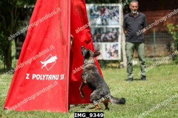 IMG_9349.jpg