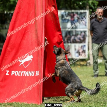 IMG_9355.jpg