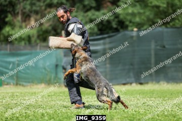 IMG_9359.jpg