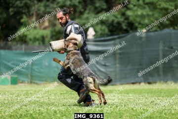 IMG_9361.jpg