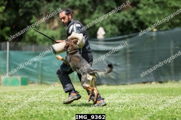 IMG_9362.jpg