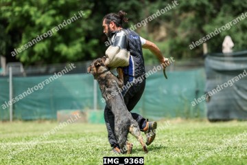 IMG_9368.jpg
