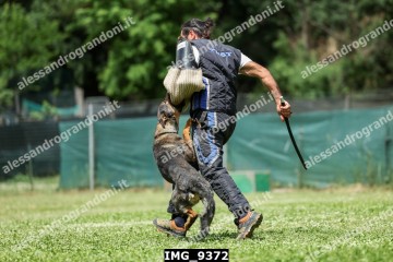 IMG_9372.jpg