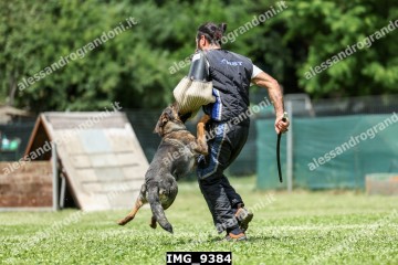 IMG_9384.jpg
