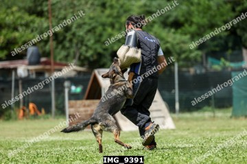 IMG_9391.jpg