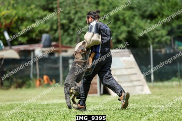 IMG_9395.jpg
