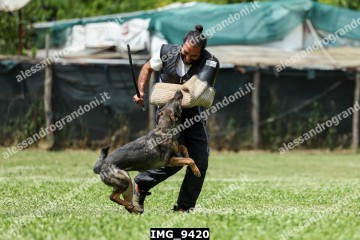 IMG_9420.jpg