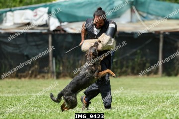 IMG_9423.jpg