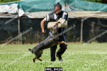 IMG_9426.jpg