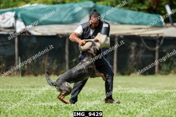 IMG_9429.jpg