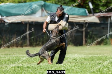 IMG_9433.jpg