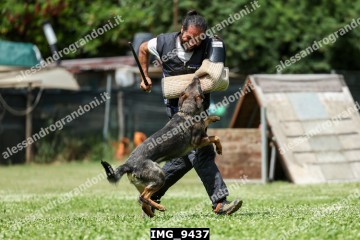 IMG_9437.jpg