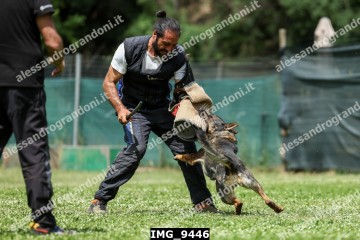 IMG_9446.jpg