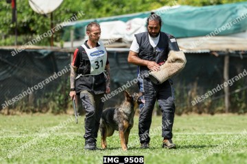 IMG_9508.jpg