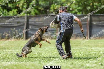 IMG_9519.jpg