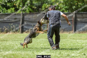 IMG_9520.jpg