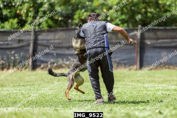 IMG_9522.jpg