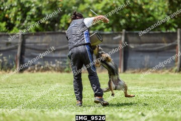 IMG_9526.jpg