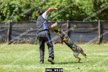 IMG_9528.jpg